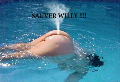 sauve willy